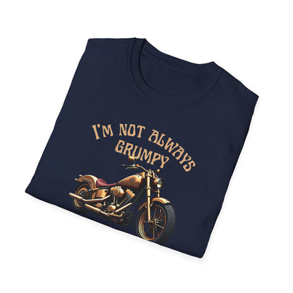 I'm Not Always Grumpy T-Shirt