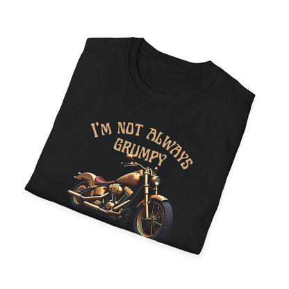 I'm Not Always Grumpy T-Shirt