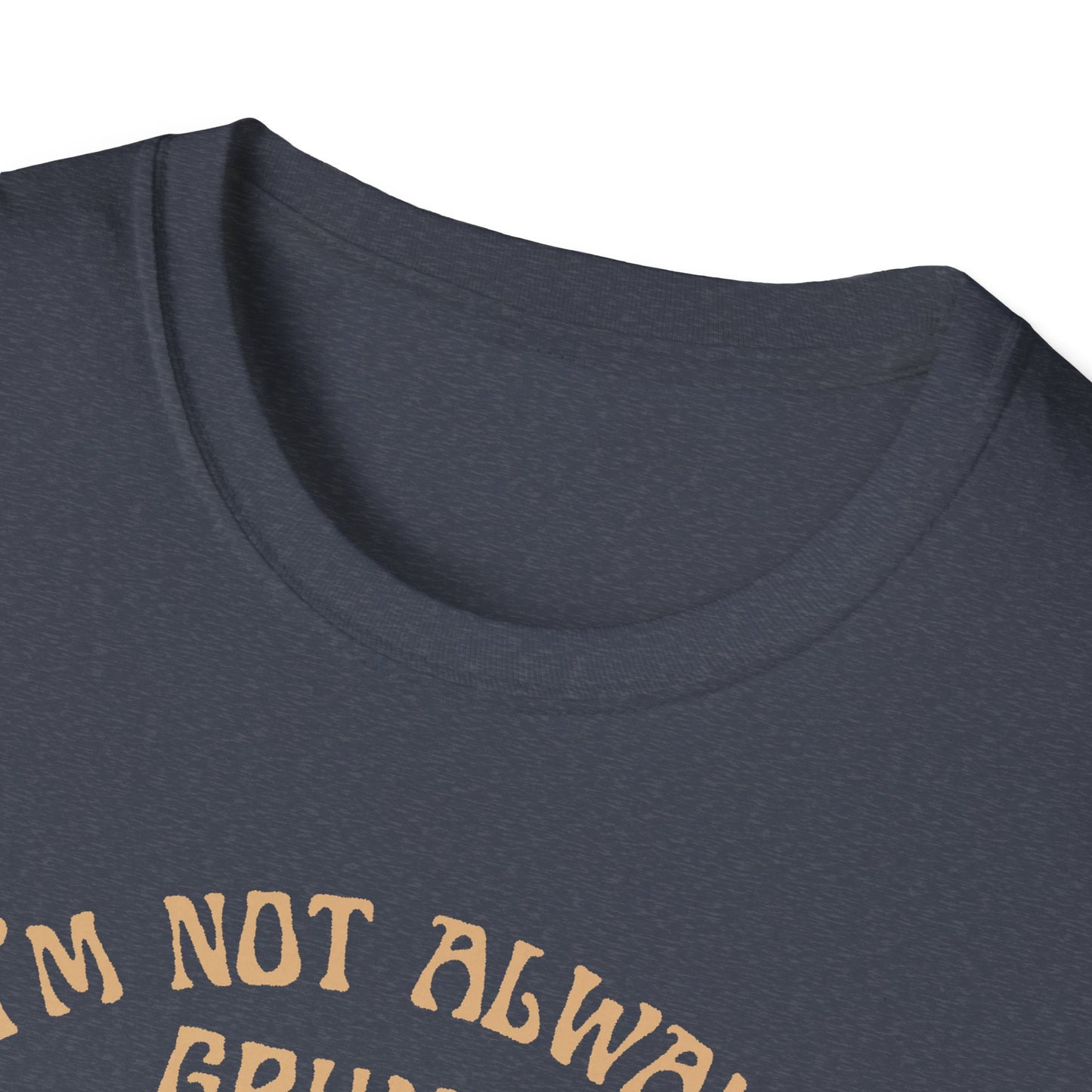 I'm Not Always Grumpy T-Shirt